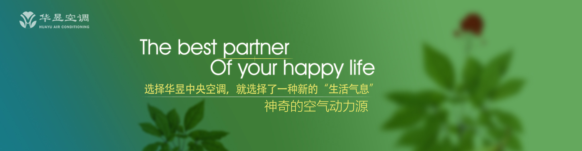 握拳透爪网